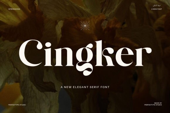 Cingker: The Modern Serif Font for Handmade Brands and Printables